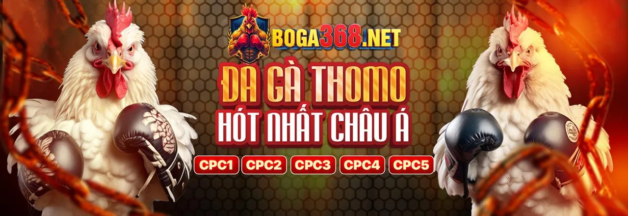 Lịch sử phát triển của lixi88